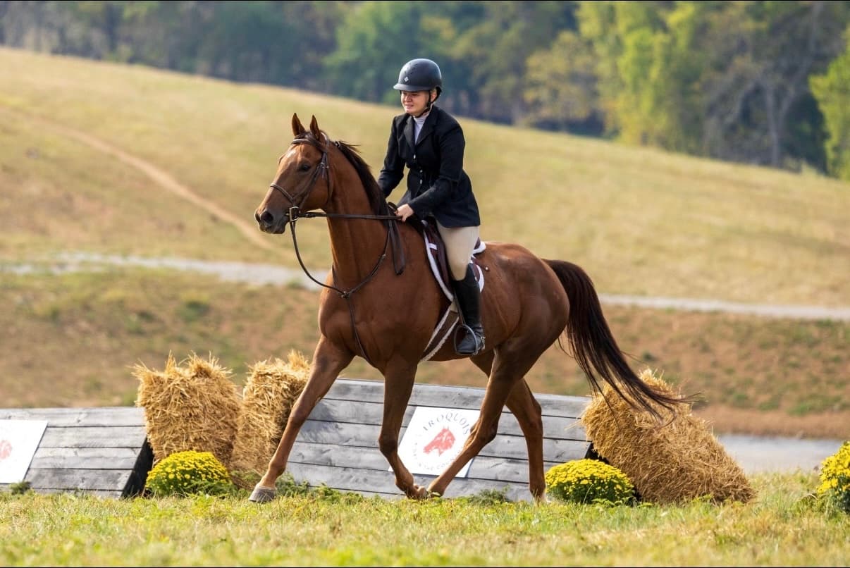 Mackenzie trotting Biggie at the Iroquois Hunt Club Day in the Country Horse Show, September 2025