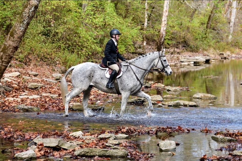 Mackenzie riding Bonfire, a grey horse, through a creek in formal foxhunt attire