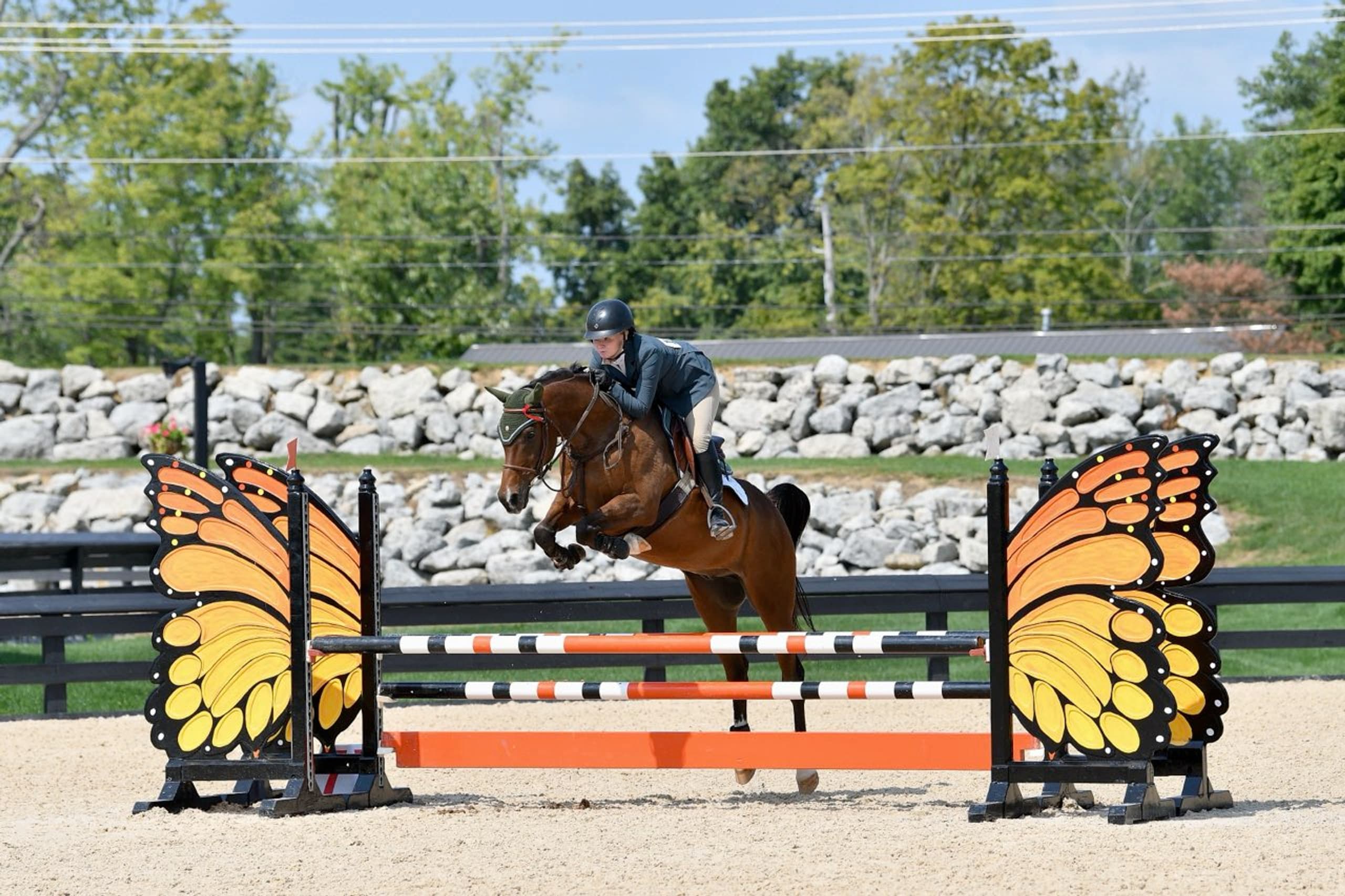 Mackenzie jumping Dax, her bay sport horse, over a butterfly oxer in a stone-wall arena