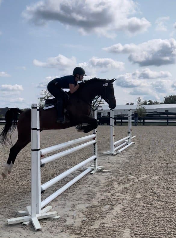 Dax practicing a cavaletti gymnastic, photographed in profile