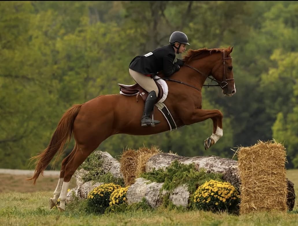 Mackenzie riding Chance (Astronome), a chestnut sport horse, clearing a log and hay bales obstacle